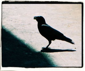 257186_10150680420425594_6780777_o