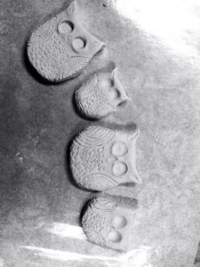 10559735_10154486801205594_1287241468350174745_n