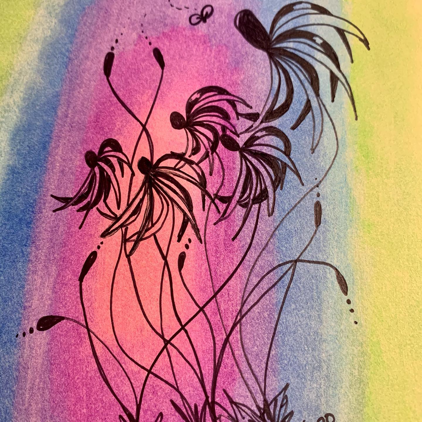 120442019_10164341288585594_90584882214838015_o