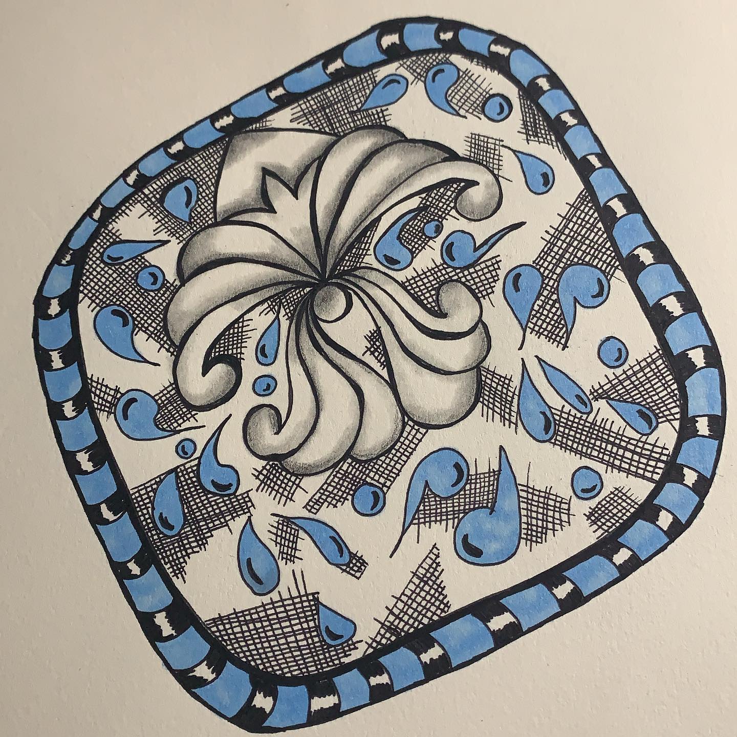 120505007_10164343997295594_7960597805614241756_o