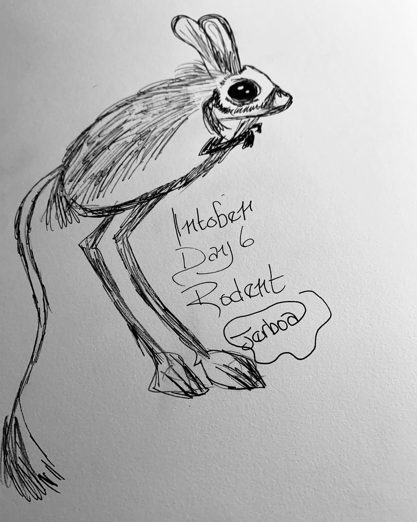 120996107_10164357901360594_4681667132765173591_o